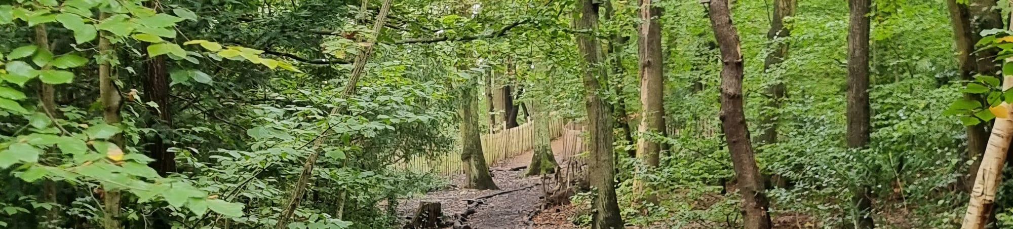 Forest Hill Wellbeing